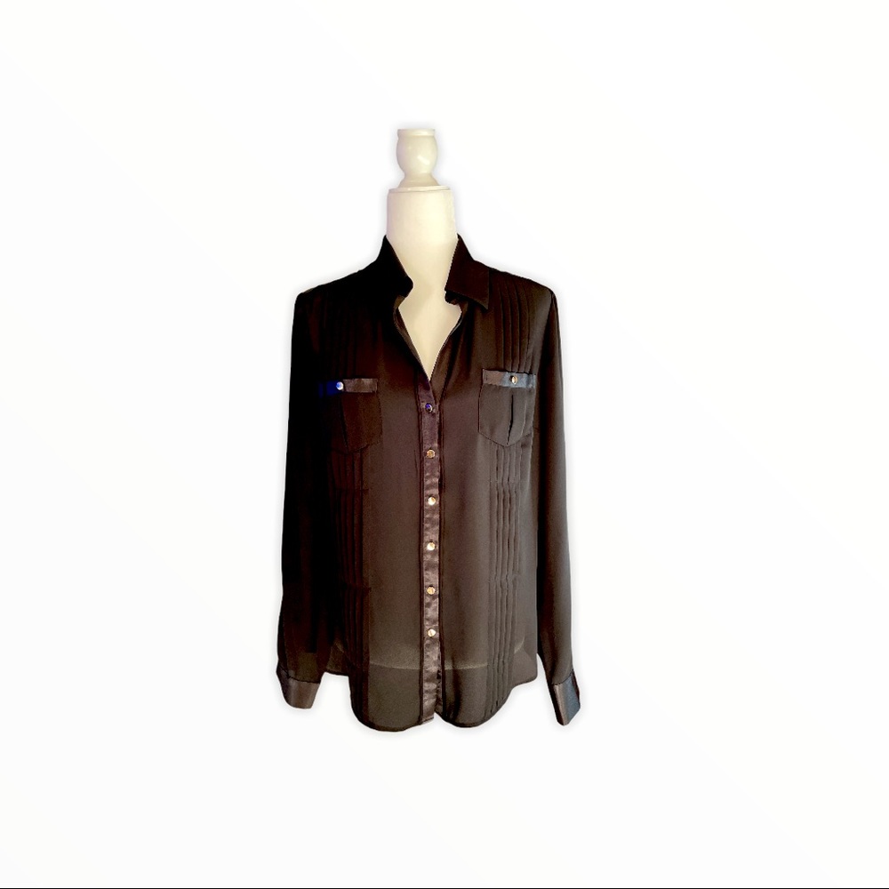 Sheer button down tailored blouse